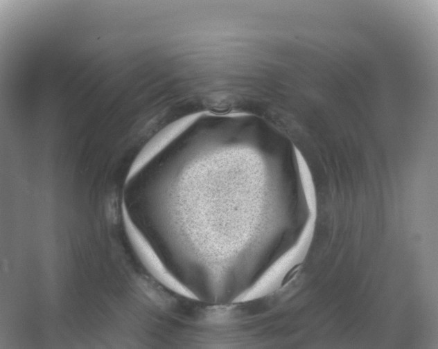 X0000066960090200604142126