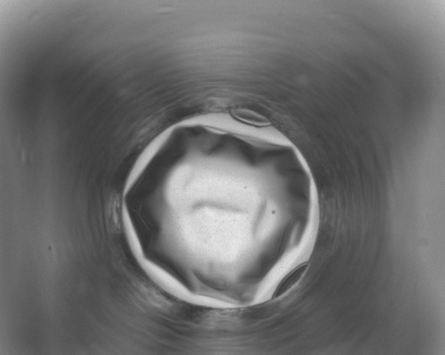 X0000066960094200604142126