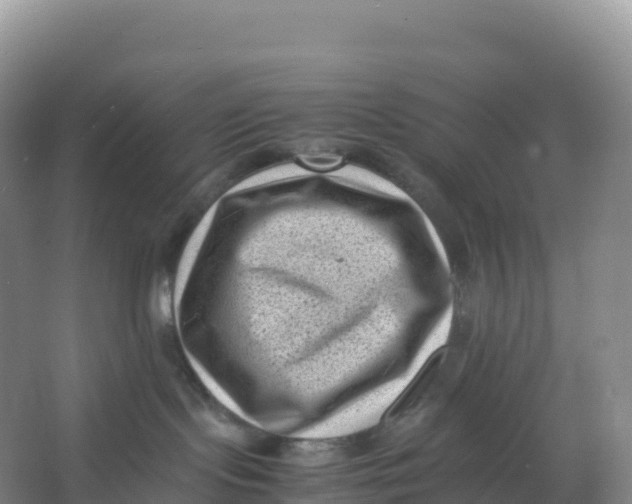 X0000066960095200604142126