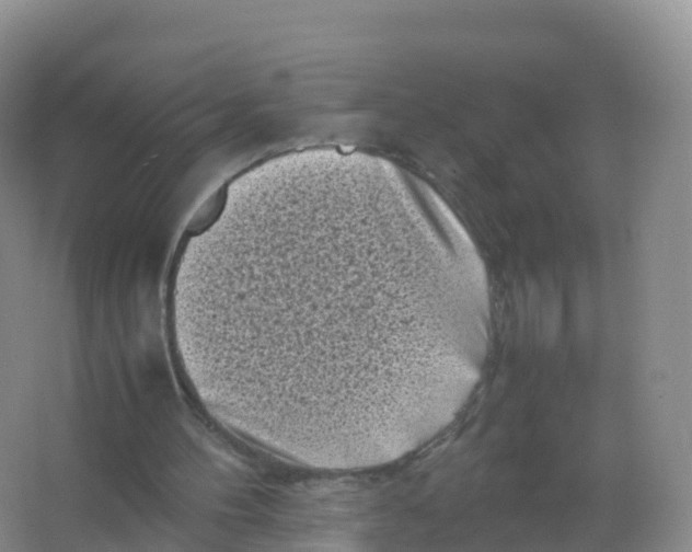 X0000066960100200604142125