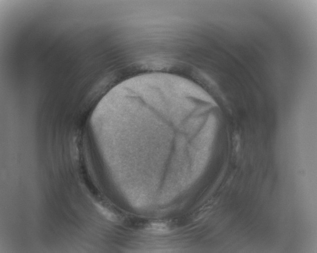 X0000066960114200604142125