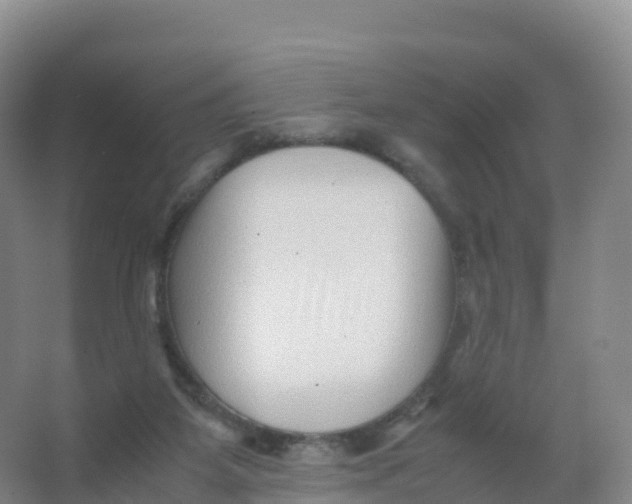 X0000066960115200604142125