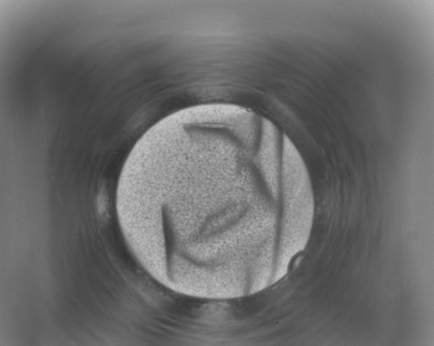 X0000066960124200604142125