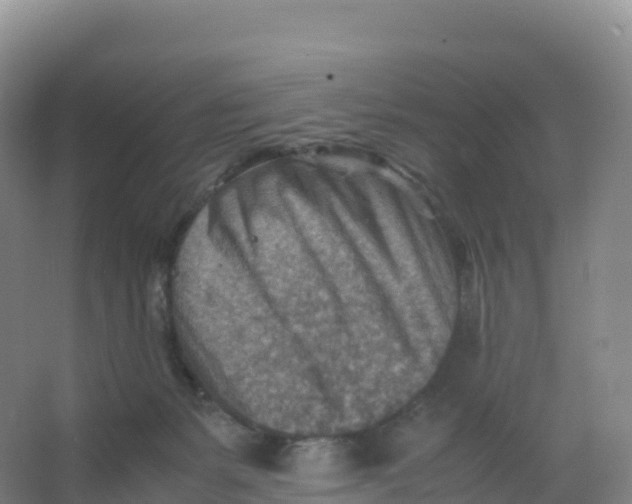 X0000066960127200604142125