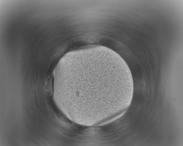 X0000066960128200604142125