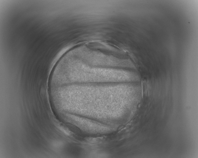 X0000066960147200604142124