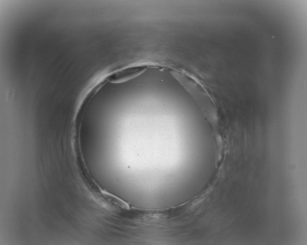 X0000066960152200604142124