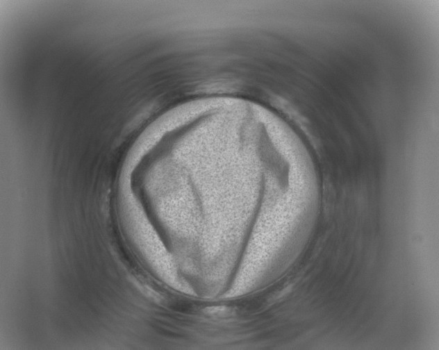 X0000066960153200604142124