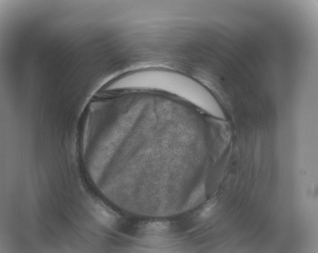 X0000066960156200604142124