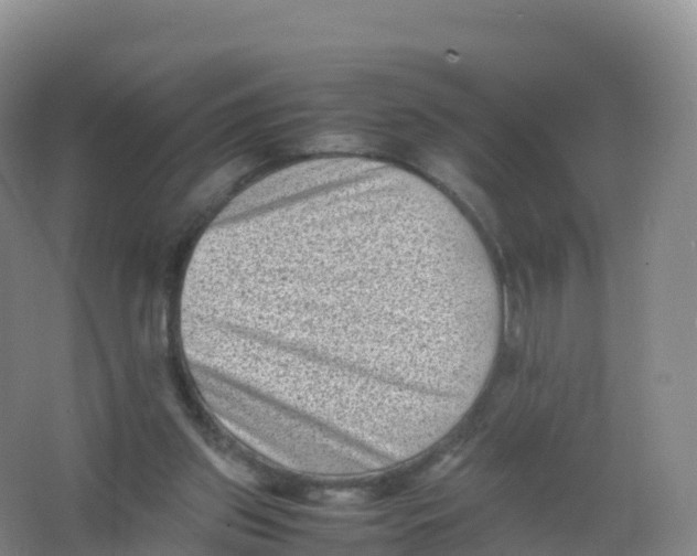 X0000066960157200604142124