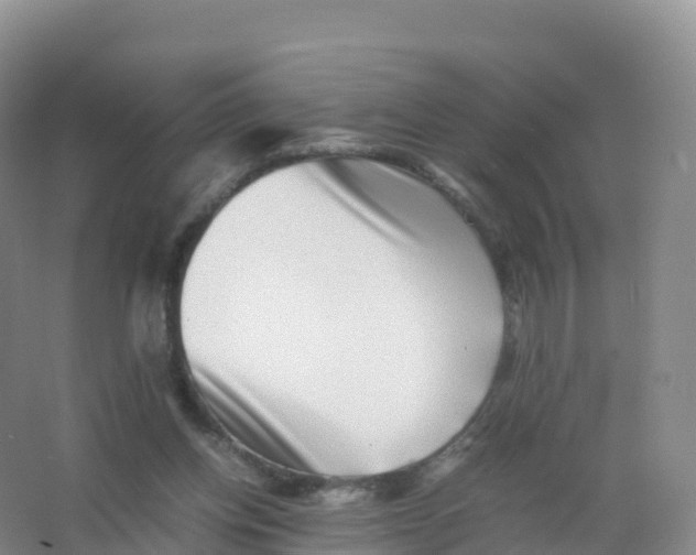 X0000066960158200604142124