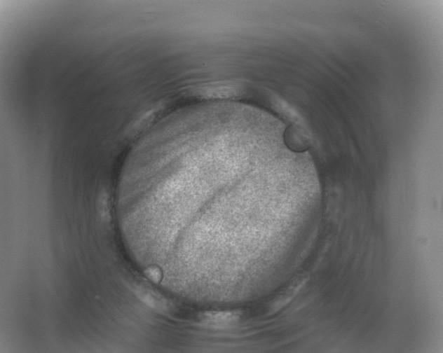 X0000066960161200604142124