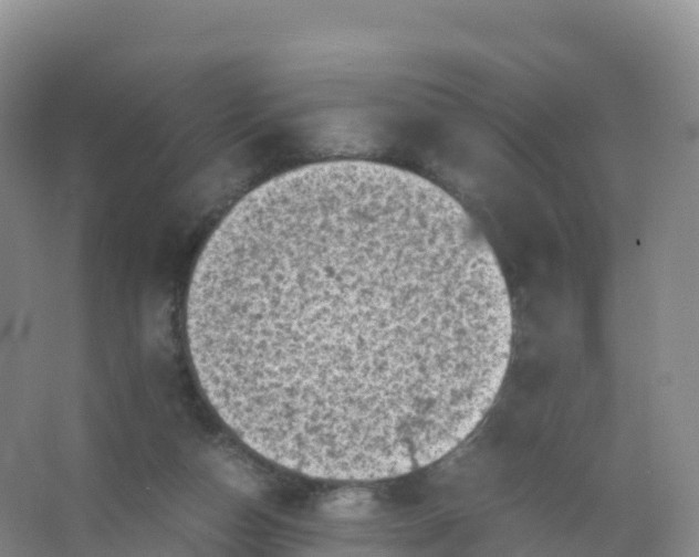 X0000066960162200604142124