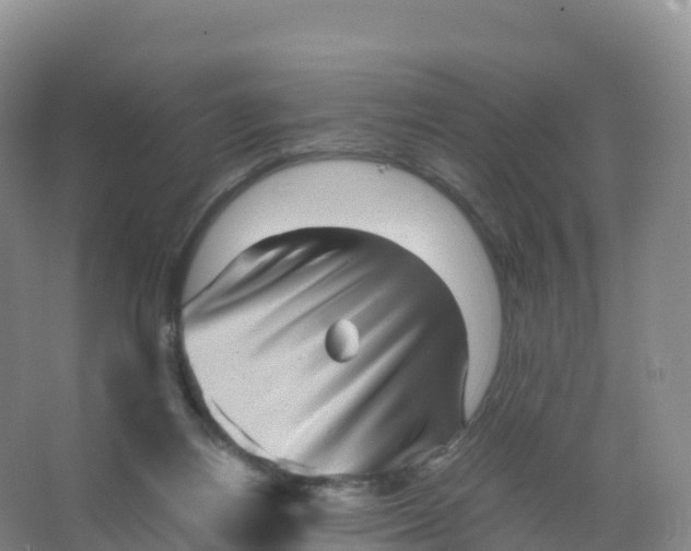 X0000066960164200604142124