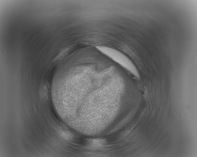 X0000066960165200604142124