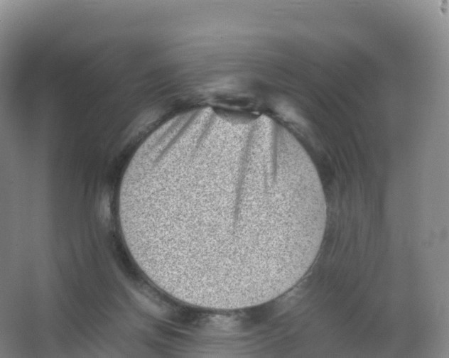 X0000066960166200604142124