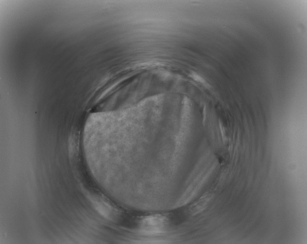 X0000066960168200604142124