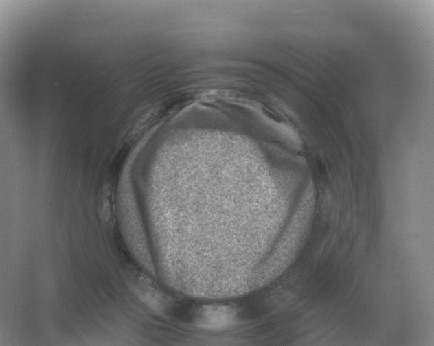 X0000066960169200604142124