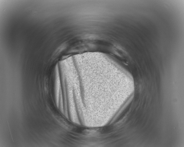 X0000066960170200604142124