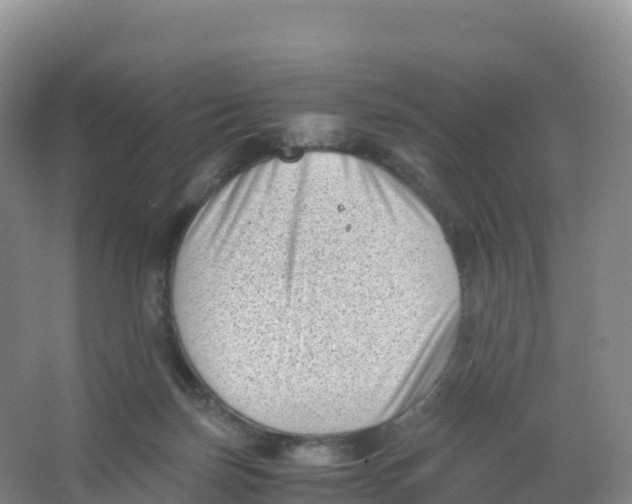 X0000066960171200604142124