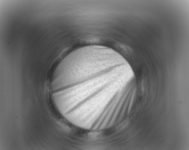 X0000066960172200604142124