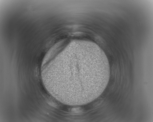 X0000066960173200604142124