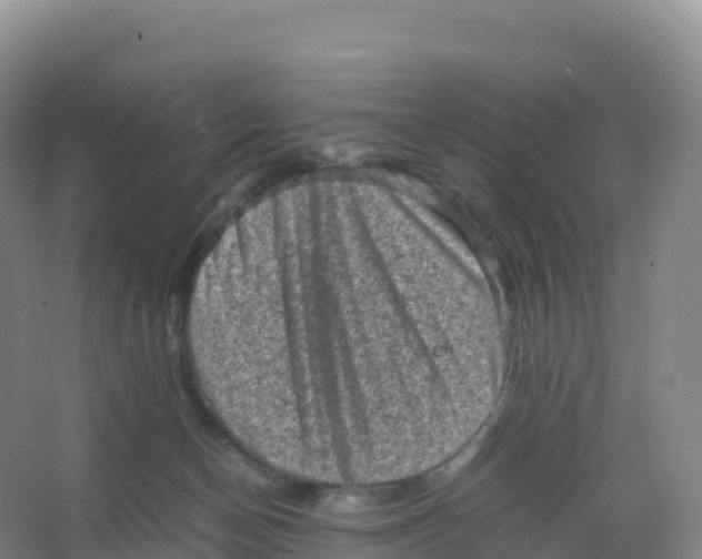 X0000066960174200604142124