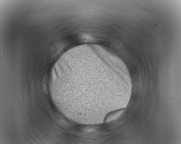 X0000066960175200604142124