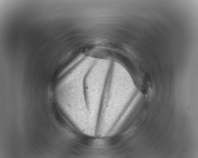 X0000066960176200604142124