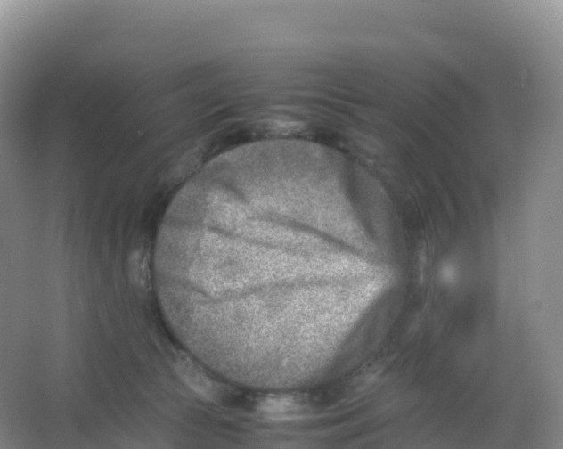 X0000066960177200604142124