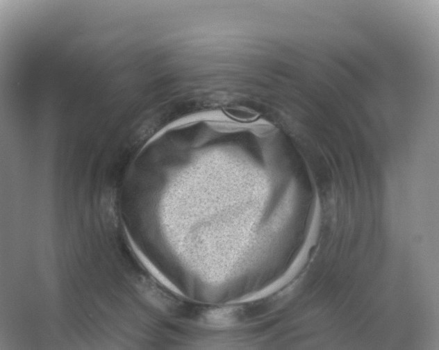 X0000066960178200604142124