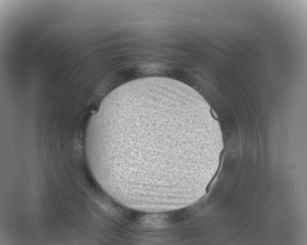 X0000066960179200604142124