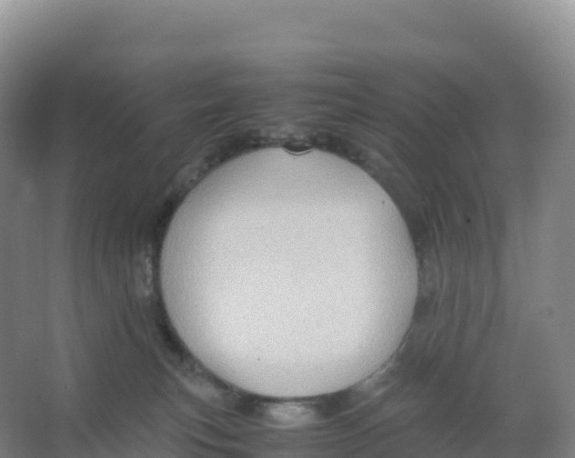 X0000066960183200604142124