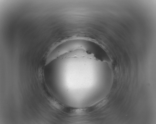 X0000066960184200604142124