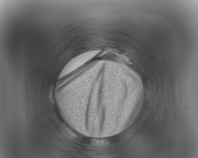 X0000066960185200604142124