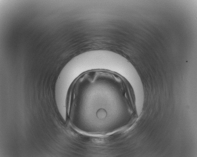 X0000066960187200604142124