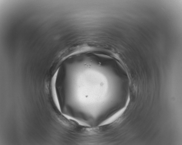 X0000066960188200604142124