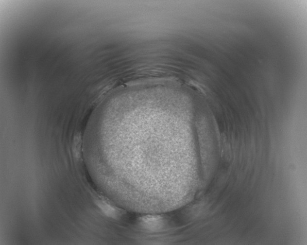 X0000066960189200604142124