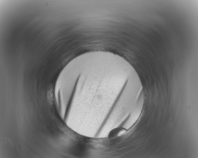 X0000066960190200604142124