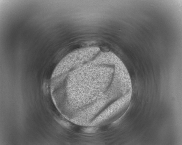 X0000066960191200604142125