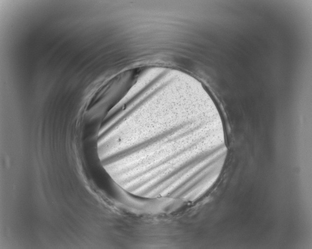 X0000066960193200604142124