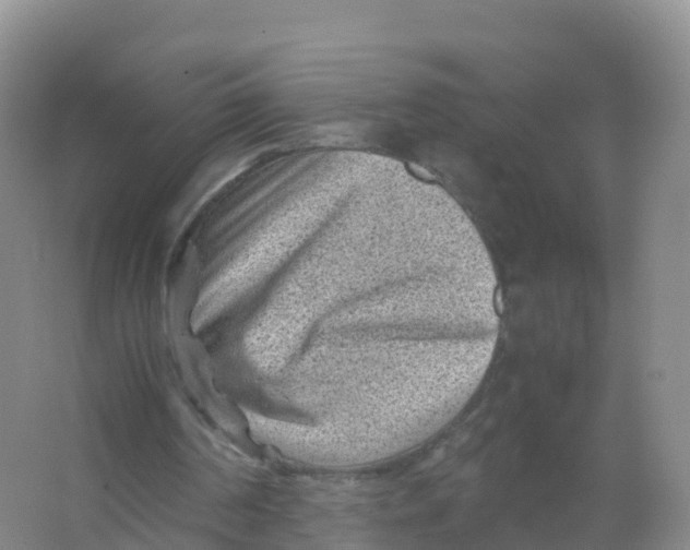 X0000066960194200604142124