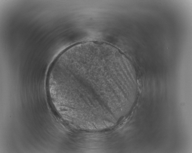 X0000066960196200604142124