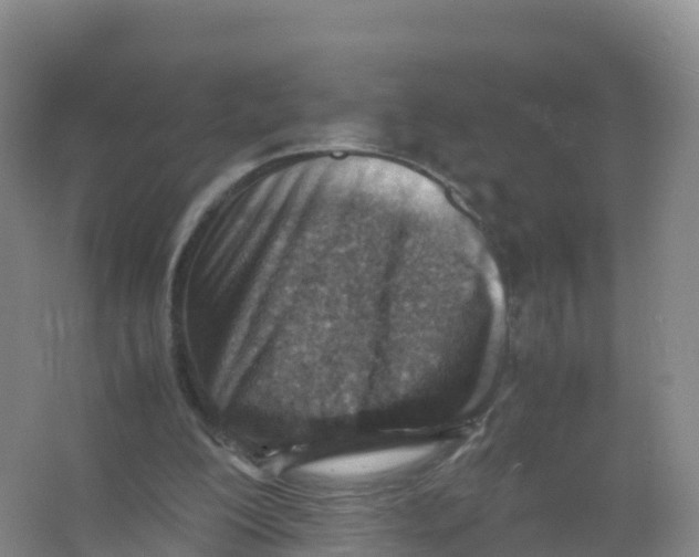 X0000066960200200604142124