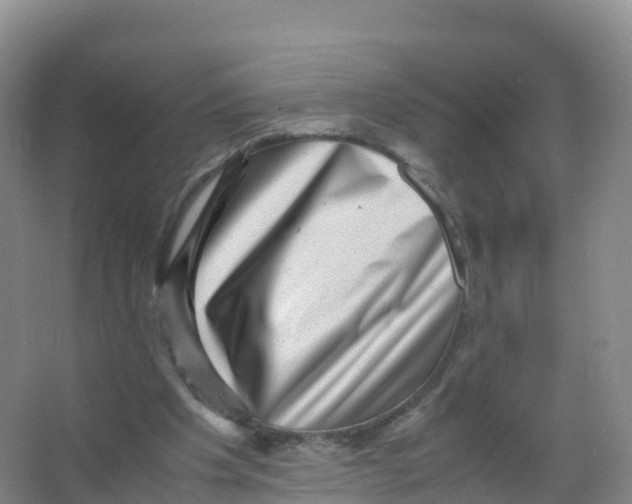 X0000066960201200604142124