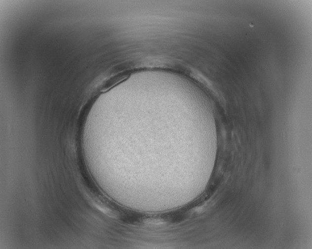 X0000066960203200604142124