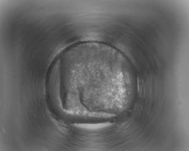 X0000066960204200604142124