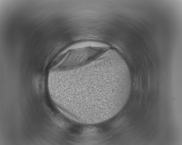 X0000066960206200604142124