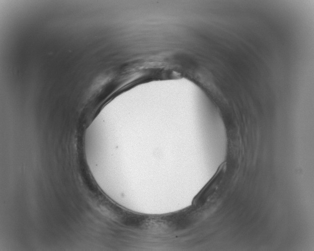 X0000066960207200604142123