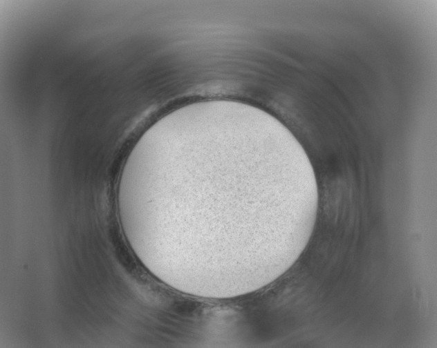 X0000066960208200604142123